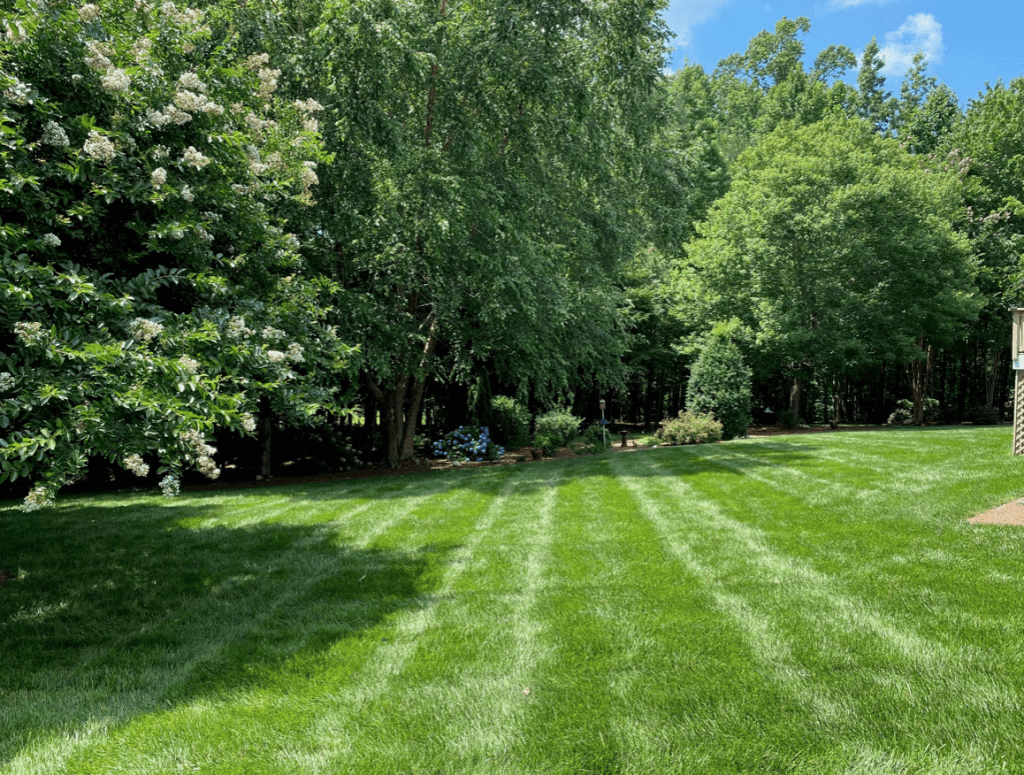 lawn-care-for-home-3959-1024x775