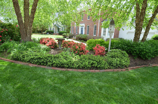 lawn with fall ornamentals